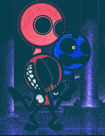dhbusgus